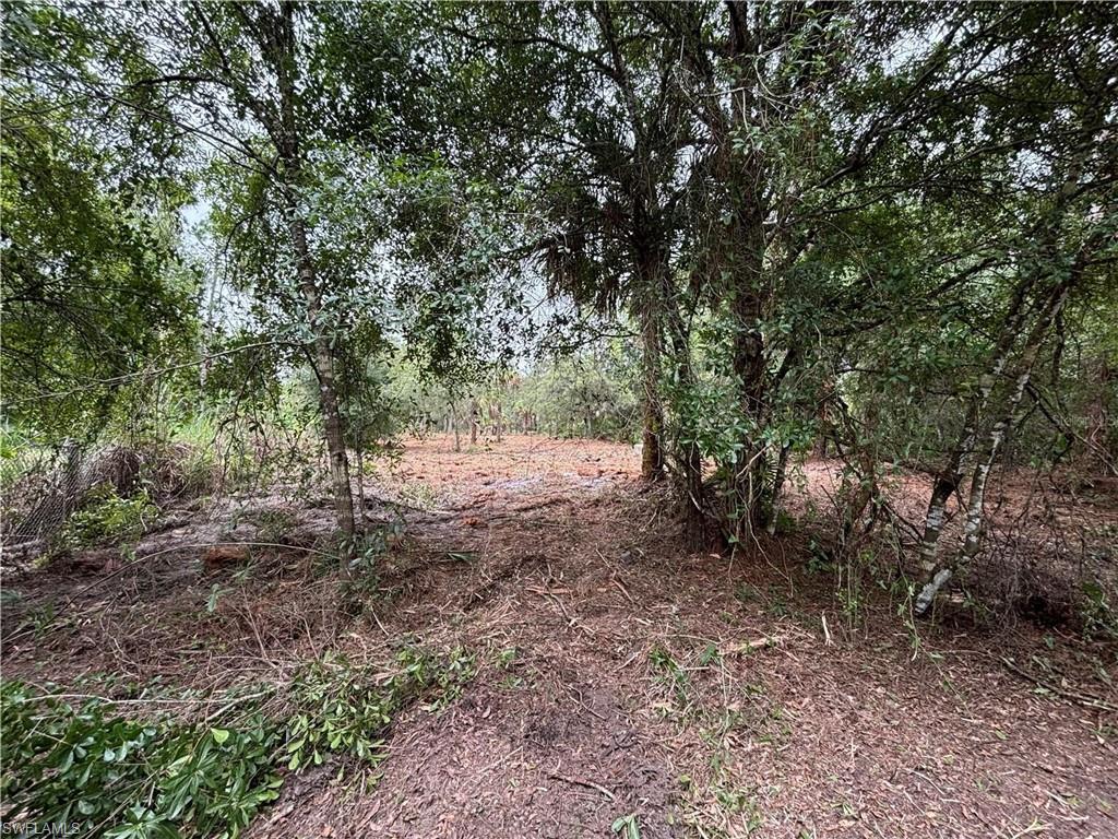 PIONEER PLANTATION SEC 35 - Land