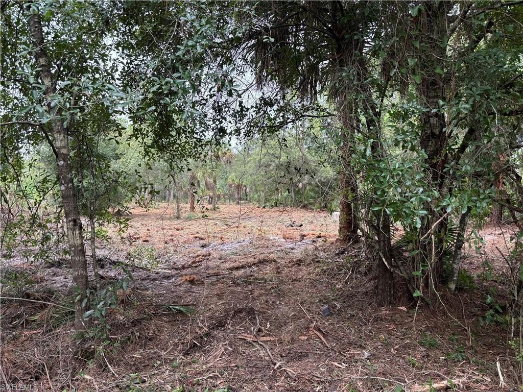 PIONEER PLANTATION SEC 35 - Land