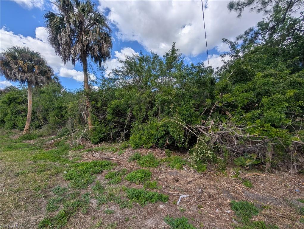 GOLDEN GATE ESTATES - Land