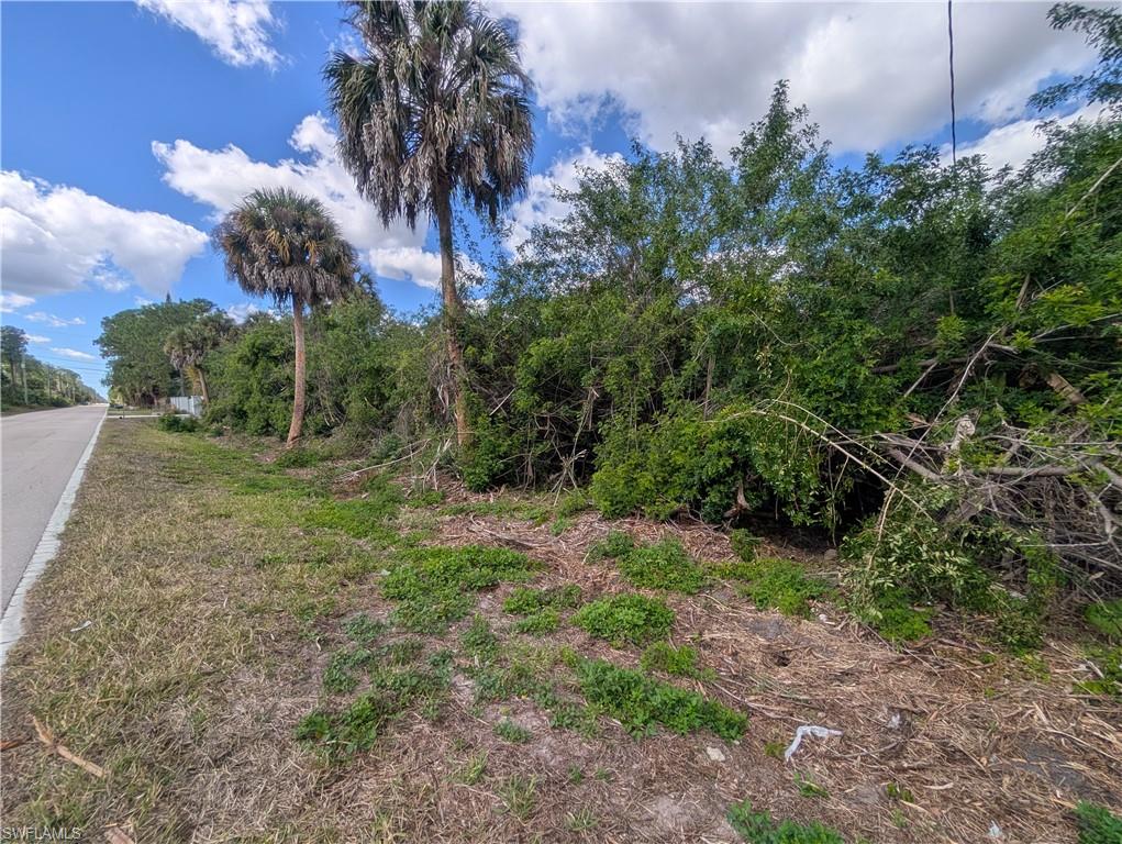 GOLDEN GATE ESTATES - Land