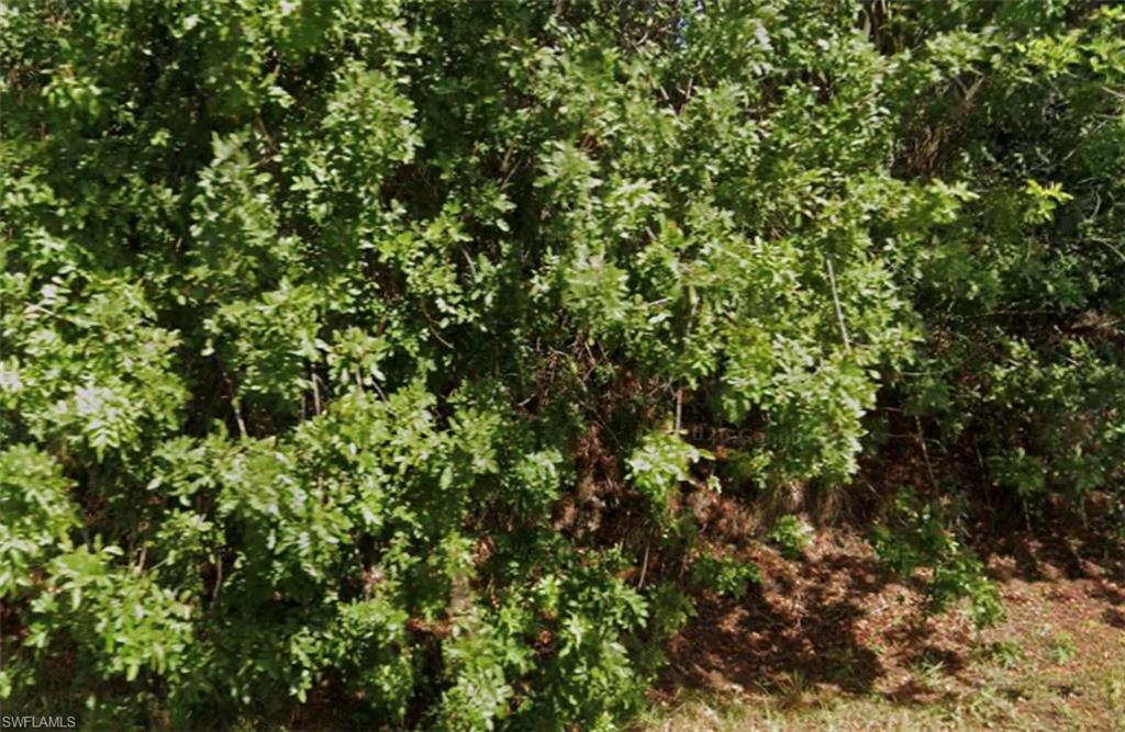 GOLDEN GATE ESTATES - Land