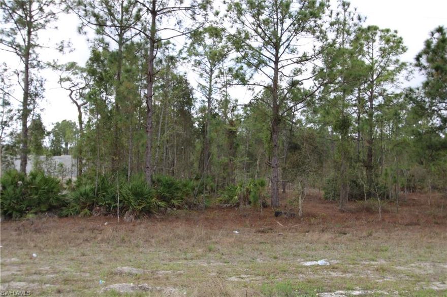 Great Location to build your Dream Home or save this wonderful lot for when you are ready or add this to your land investments while it is still available for a great price. Now may be the best time to purchase lots before the builders snatch them up, in the last 30 days over 500 residential lots were purchased in the Lehigh area according to the local MLS, do not miss your chance. Located in the fast-growing area of Lehigh Acres, centrally located in the Southwest Florida with a short drive to Fort Myers, and the surrounding areas like Naples, Bonita Springs and Cape Coral. Build here without the crazy HOA fees and too many restrictions. A short drive to restaurants, shopping, golf course, hospitals, the Caloosahatchee River, and beaches
