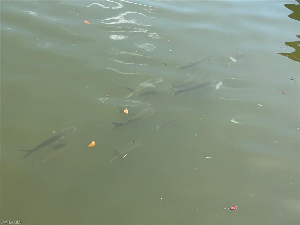 SPRING CREEK ESTATES - Land