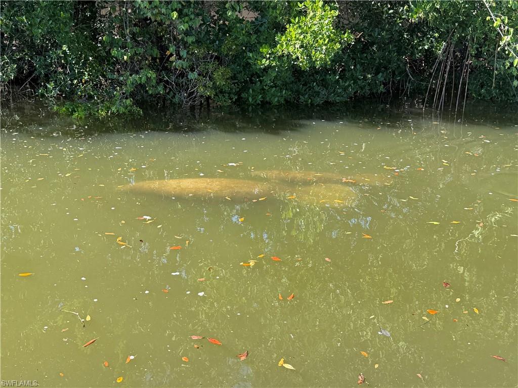 SPRING CREEK ESTATES - Land