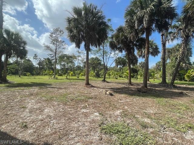 GOLDEN GATE ESTATES - Land