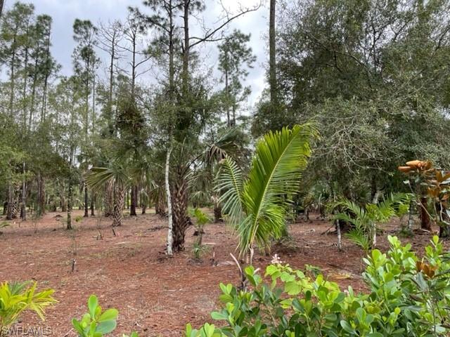 GOLDEN GATE ESTATES - Land