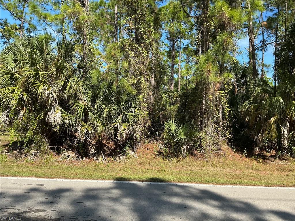 GOLDEN GATE ESTATES - Land