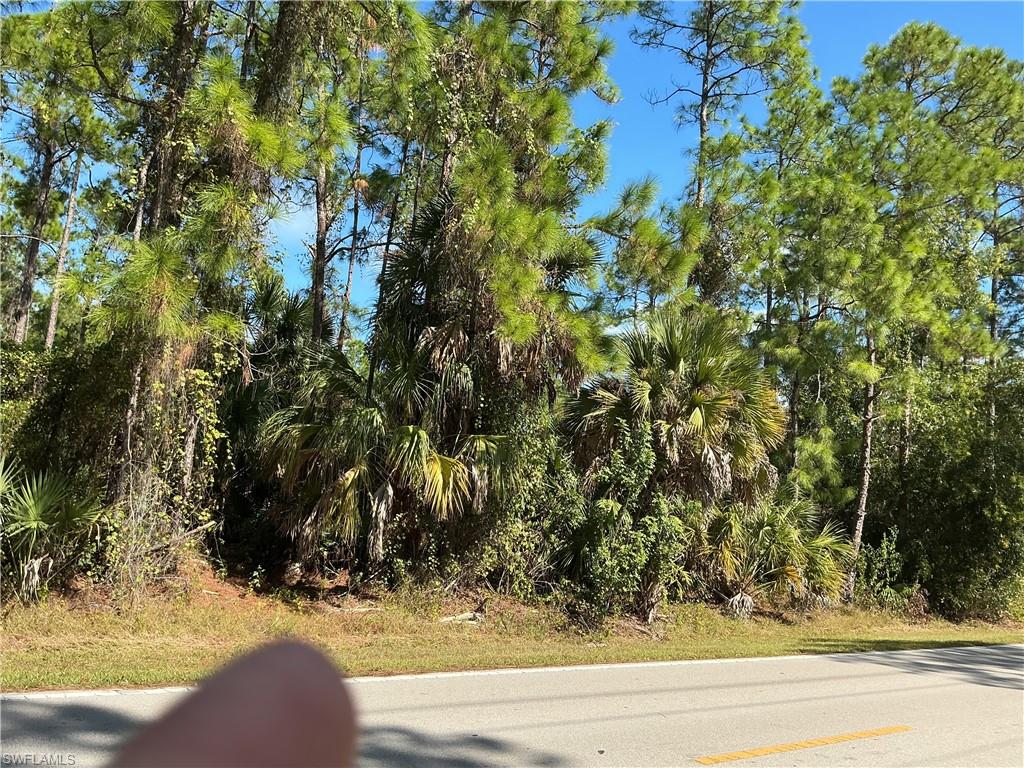 GOLDEN GATE ESTATES - Land