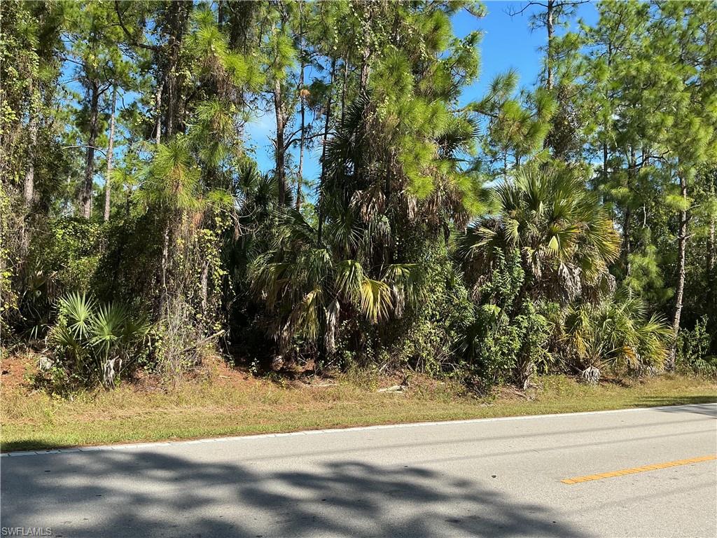 GOLDEN GATE ESTATES - Land