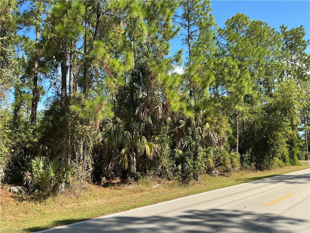 GOLDEN GATE ESTATES - Land