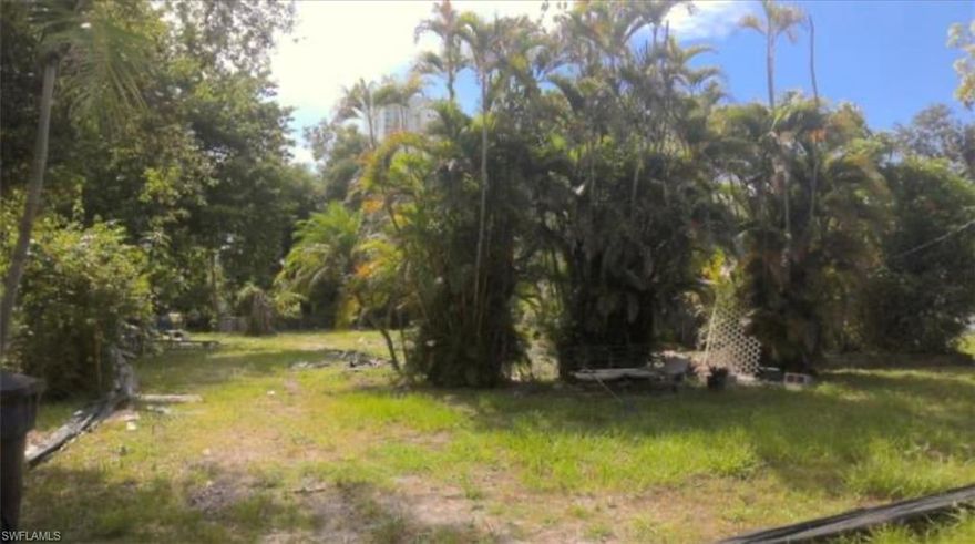 Build your dream home in Fort Myers. Enjoy close proximity to the river and downtown area, bustling with vibrant shops, markets, restaurants, and delightful events. You can build a single-family home in this well located lot. Don't miss this rare opportunity.
