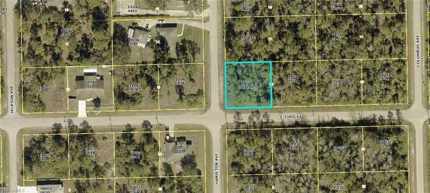 Buy this Quarter-Acre Corner lot at E 23rd St. and Hamilton Ave. in Alva, Florida! Build your home in SW Florida. Or increase your cash flow by adding an investment house to the property. Northern or Eastern rear exposure, depending on the direction the home is situated on the property. Stop by this lot and see it for yourself! Realtors-bring your buyers!