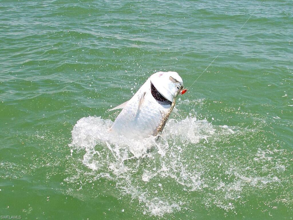 THE CAYS - Residential