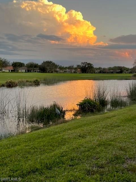 5686 Mayflower WAY 702 AVE MARIA FL 34142