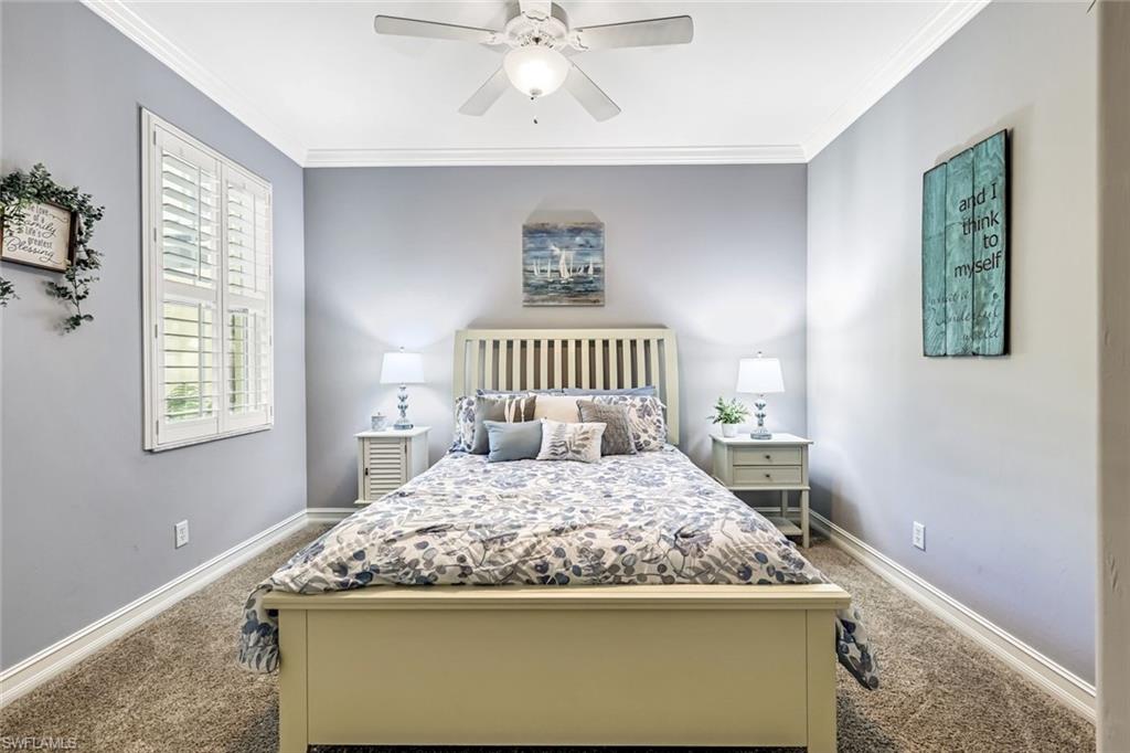 CYPRESS COVE AT WILDCAT RUN - Residential