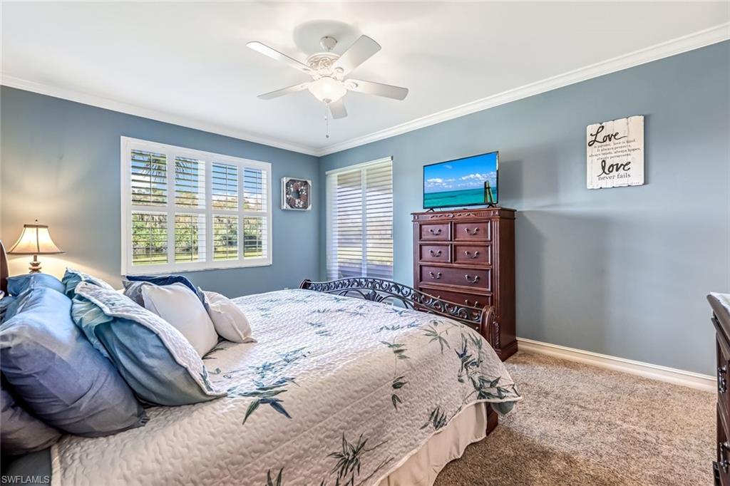 CYPRESS COVE AT WILDCAT RUN - Residential