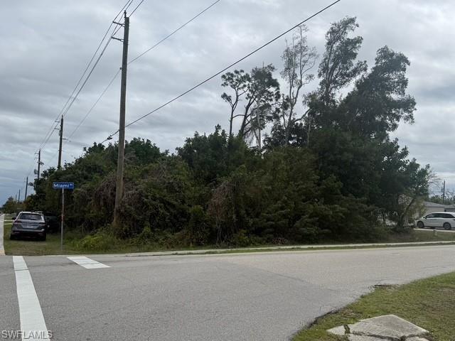 SAN CARLOS PARK - Land