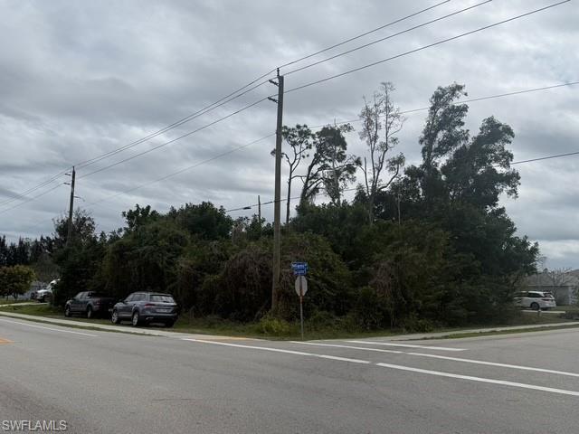 SAN CARLOS PARK - Land