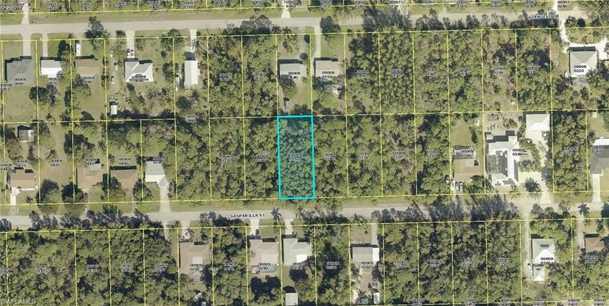 Pine Island at it's best! This large home-site is in Tropical Point which is walking distance to a public beach and boat ramp on Matlacha Pass. Pine Island is the largest barrier island on the west coast of Florida, and offers  great fishing and a laid back lifestyle.