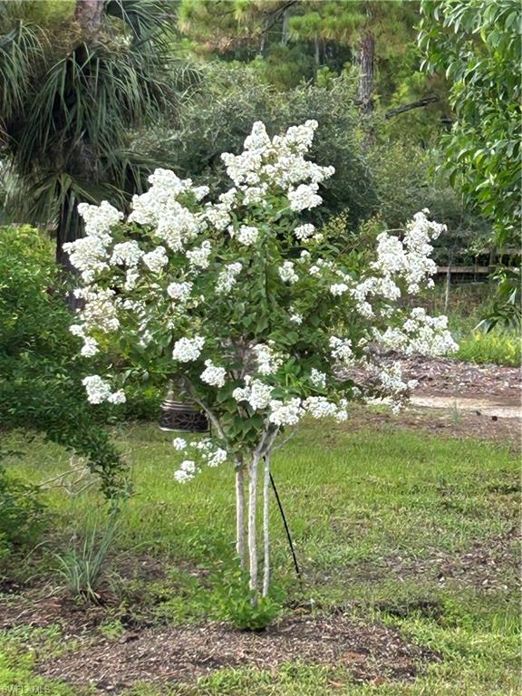 WILDCAT FARMS - Residential