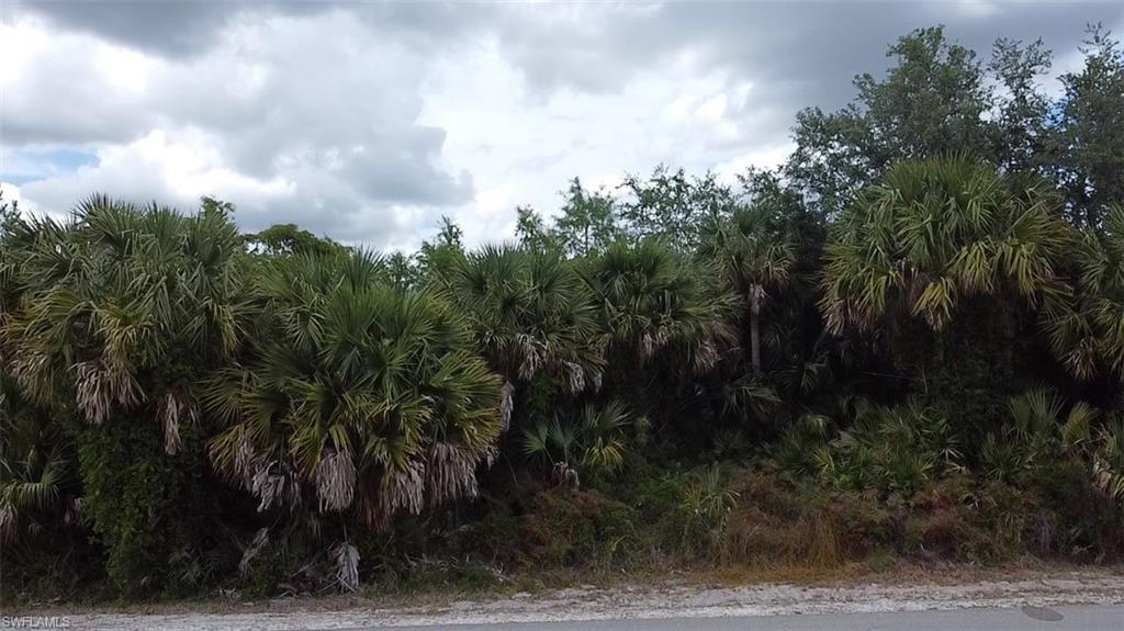 GOLDEN GATE ESTATES - Land