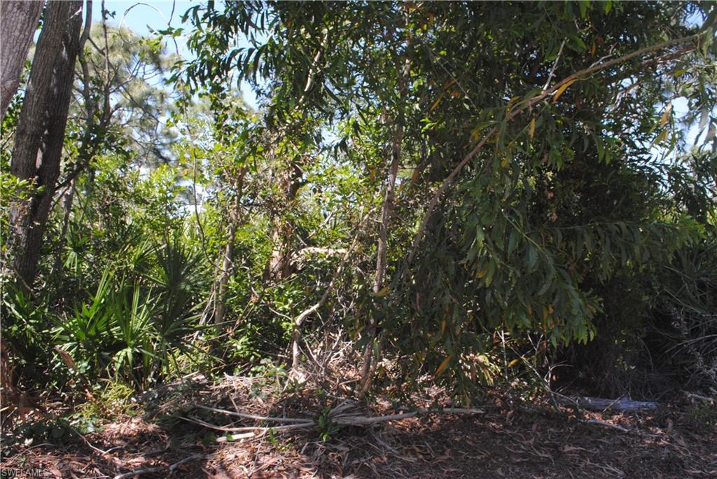 KREAMERS AVOCADO UNREC - Land