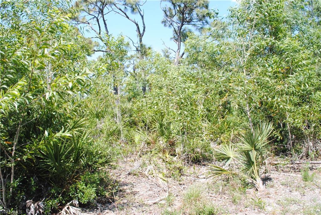 KREAMERS AVOCADO UNREC - Land