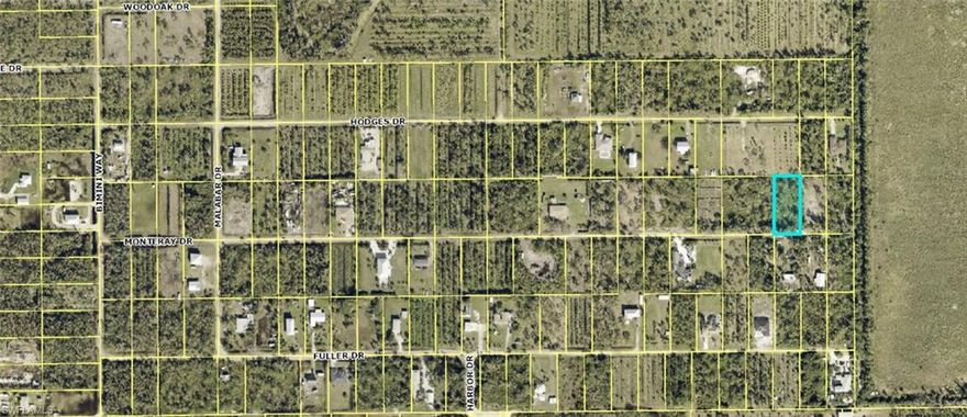 Half acre lot in a very quite, private area of Pine Island. Plenty of room for a nice house, pool, and shed. Close to boat ramps, marinas, and great restaurants. Get ready to welcome a lot of Peacock neighbors as well as bald eagles, and other flora and fauna!