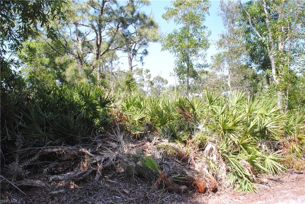 KREAMERS AVOCADO UNREC - Land