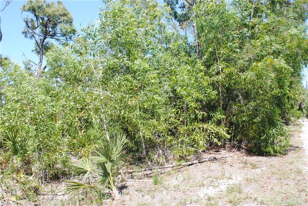 KREAMERS AVOCADO UNREC - Land