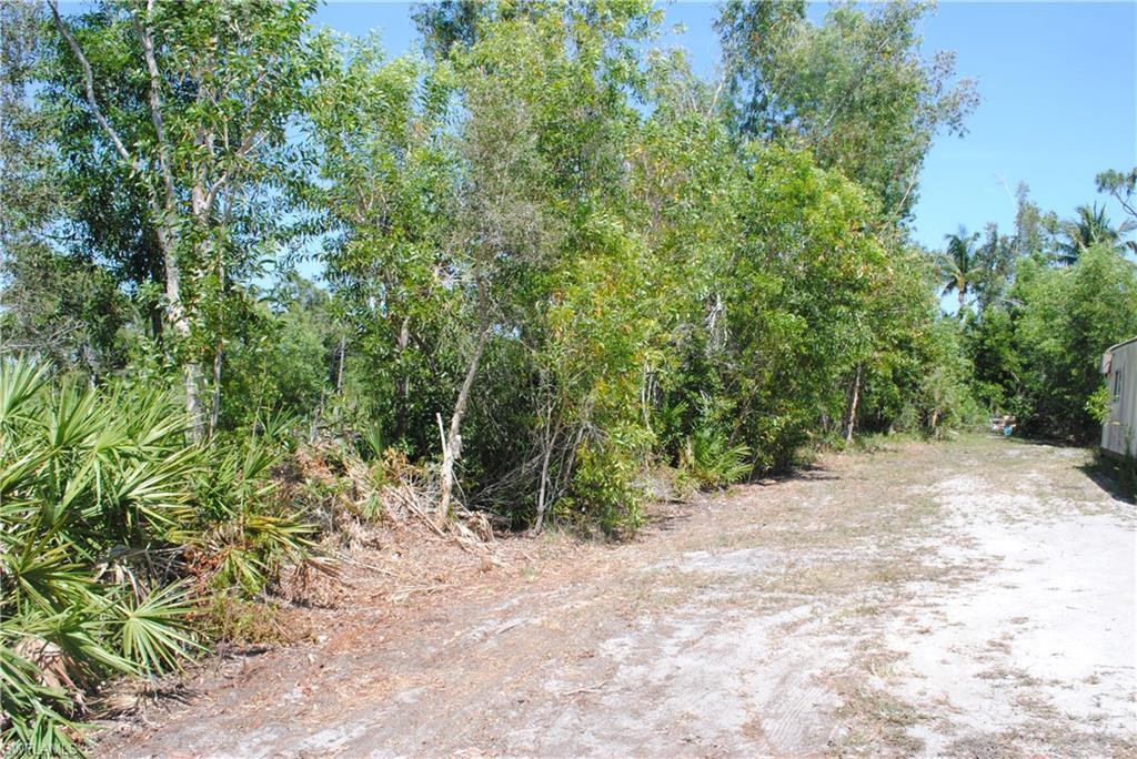 KREAMERS AVOCADO UNREC - Land