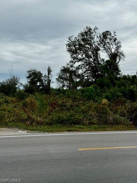 KREAMERS AVOCADO UNREC - Land