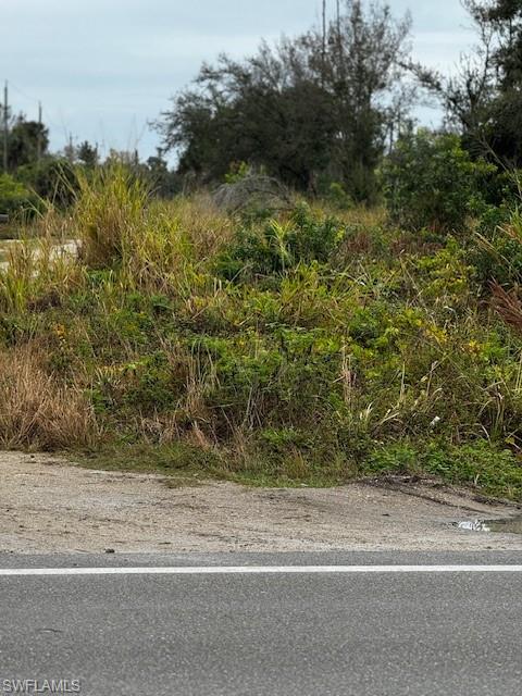 KREAMERS AVOCADO UNREC - Land