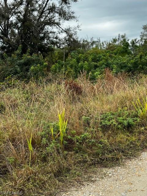 KREAMERS AVOCADO UNREC - Land