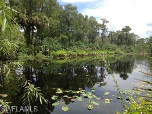 HAWK'S PRESERVE - Residential