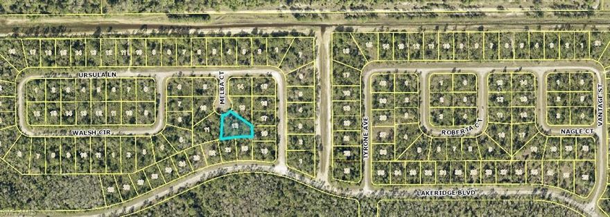 Beautiful lot at the end of a cul-de-sac with a southern rear exposure in fast developing Lehigh Acres.