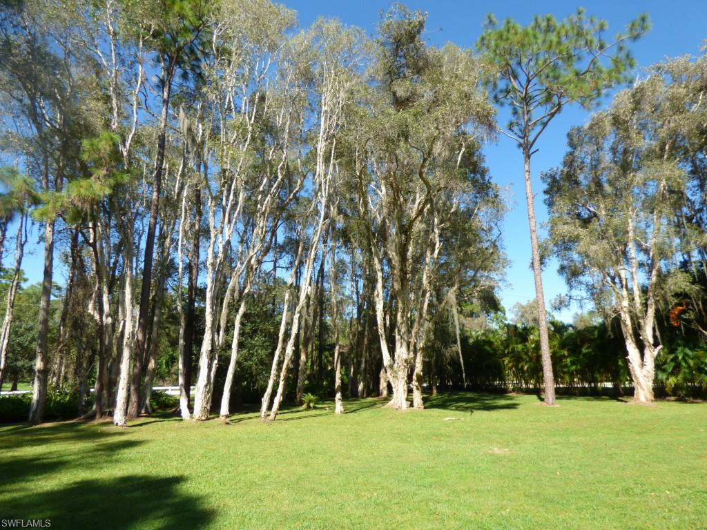 BRIARCLIFF - Residential