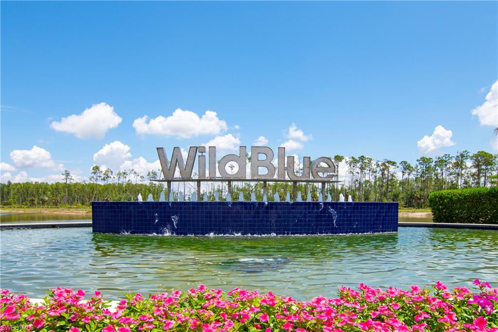 WILDBLUE - Residential