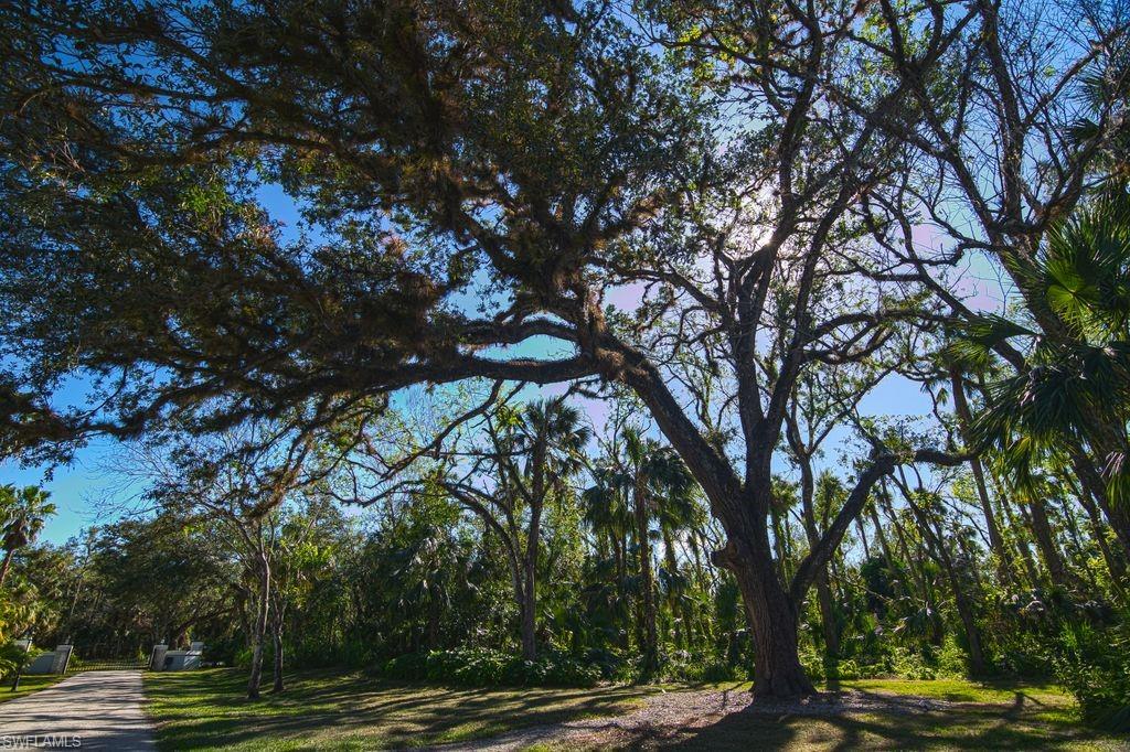 LABELLE - Residential