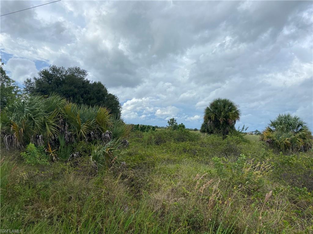 GOLDEN GATE ESTATES - Land