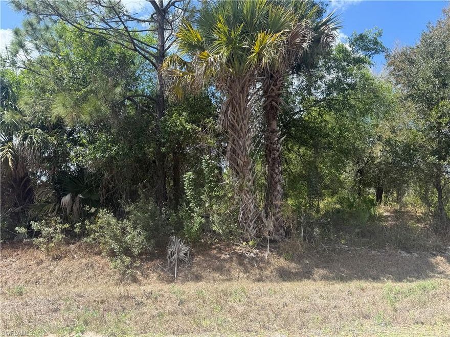 This quarter-acre residential lot is located in a quiet and developing area of Lehigh Acres in Lee County, Florida. The property sits on a paved residential street with nearby homes and new construction throughout the surrounding neighborhood, making it an excellent opportunity to build a single-family home or hold as a long-term investment.

The parcel measures approximately 0.25 acres (about 10,890 square feet) and features a rectangular shape with roughly 80 feet of frontage and 135 feet of depth. The lot is zoned RS-1 (Single-Family Residential), allowing for construction of a detached single-family residence. There is no homeowners association (HOA), providing flexibility for homeowners and builders.

Utilities in this part of Lehigh Acres typically include private well water and septic systems, with electrical service available nearby. The property is located in Flood Zone X, which generally represents a lower flood risk area and may not require flood insurance for standard mortgages.

The front of the property faces east toward Sally Ave N, while the rear of the lot faces west, offering afternoon sun in the backyard and evening sunset exposure.

The property is conveniently located within driving distance of shopping, dining, schools, and major roadways, with Fort Myers and Southwest Florida International Airport approximately 25–30 minutes away. Lehigh Acres continues to experience steady residential growth, making this lot a solid option for both future home construction and land investment.