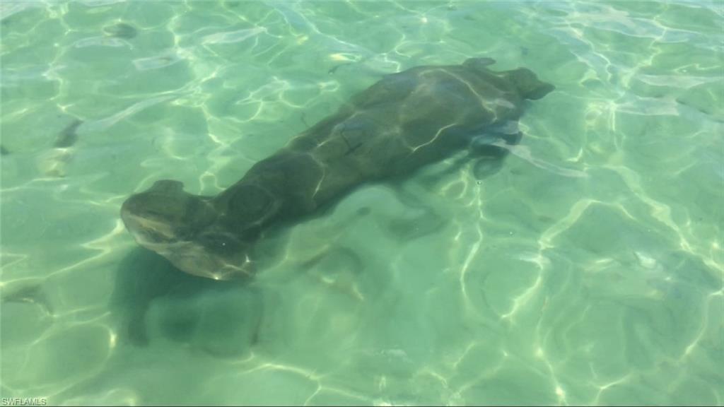 ISLES OF CAPRI - Land