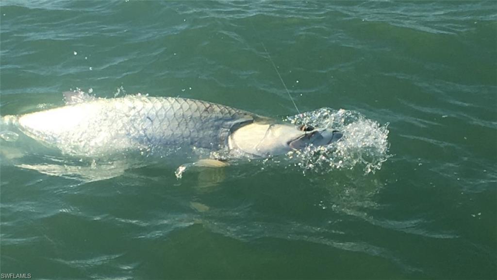 ISLES OF CAPRI - Land