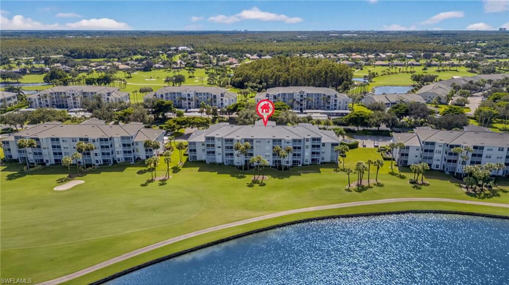 10460 Washingtonia Palm WAY 1313