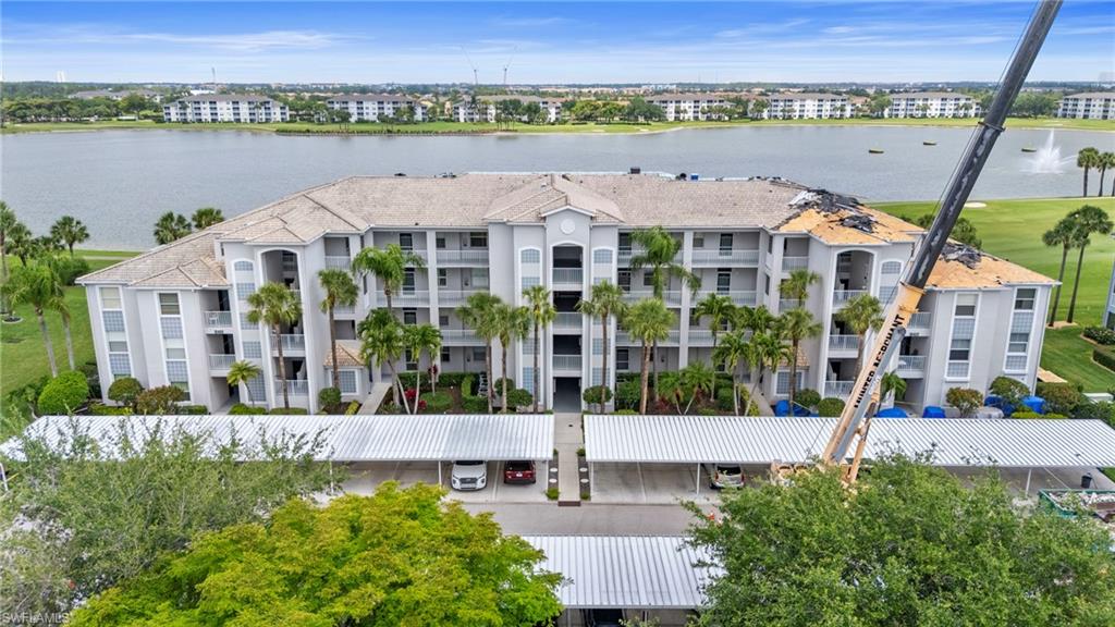 10460 Washingtonia Palm WAY 1313