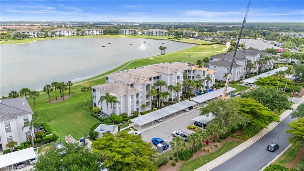 10460 Washingtonia Palm WAY 1313