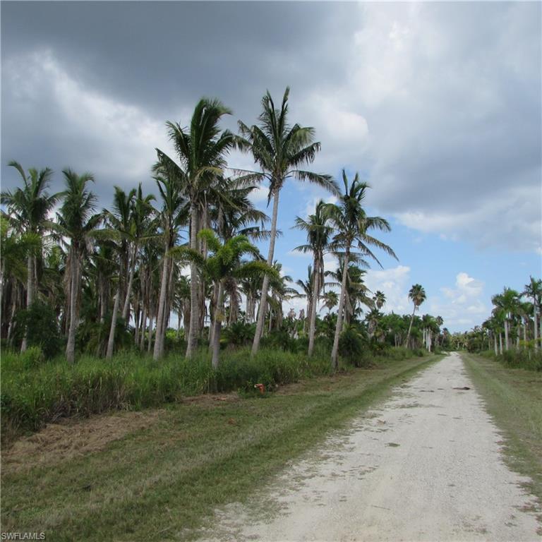 KREAMERS AVOCADO SUBD - Land