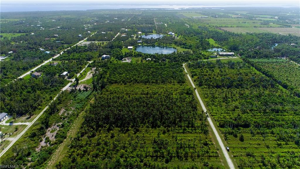 KREAMERS AVOCADO SUBD - Land