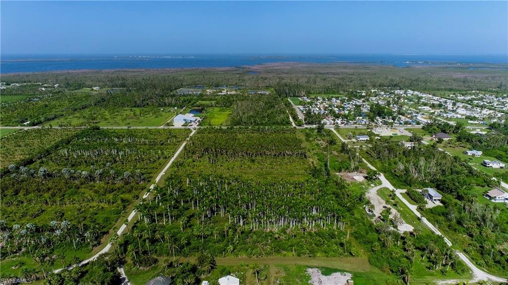 KREAMERS AVOCADO SUBD - Land