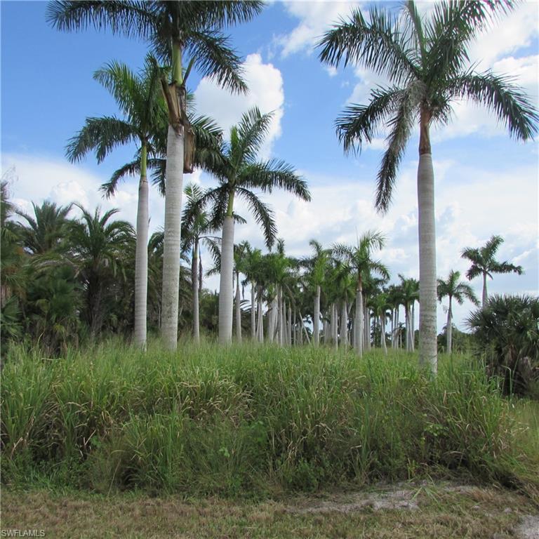 KREAMERS AVOCADO SUBD - Land